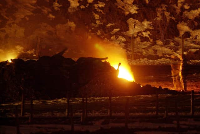 Foot and mouth: across the country, carcasses of cattle and sheep were burned in giant bonfires   Picture: Robert Perry.