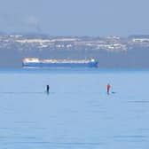 Paddleboarders off Joppa get a close look at the sei whale on Sunday morning.  Picture: Ken Thomas.