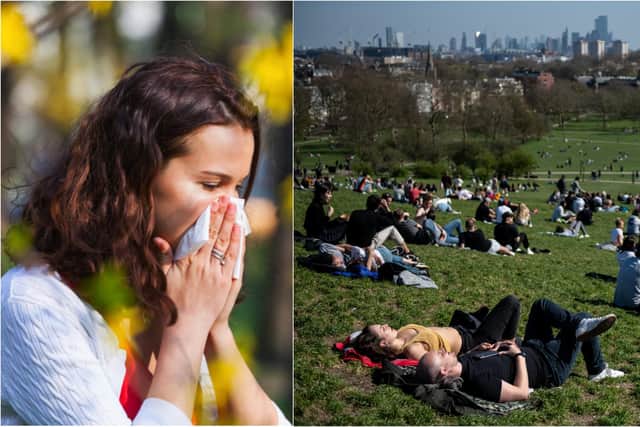 Tree pollen usually occurs between late March and mid-May (Photo: Shutterstock / Getty Images)