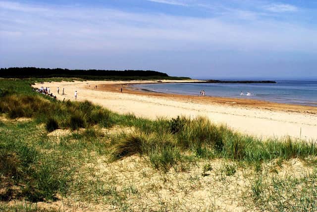 The coastline at Yellowcraig is a beautiful combination of rocky shore – with pools teeming with life – and open sand where people can relax in the sun or play on the beach