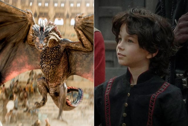 Tyraxes is another young dragon who is ridden by Joffrey Velaryon, Rhaenyra's third son with Laenor Velaryon/Harwin Strong.