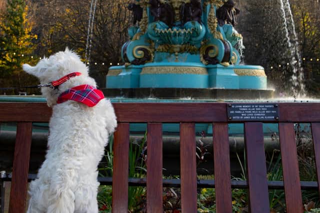 Hamish admires the castle from Princes Street Gardens