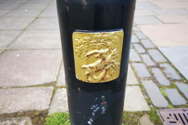 The creatures are displayed in statue, sculpture and even on lamp posts around Haddington. Picture: Rachel Mackie