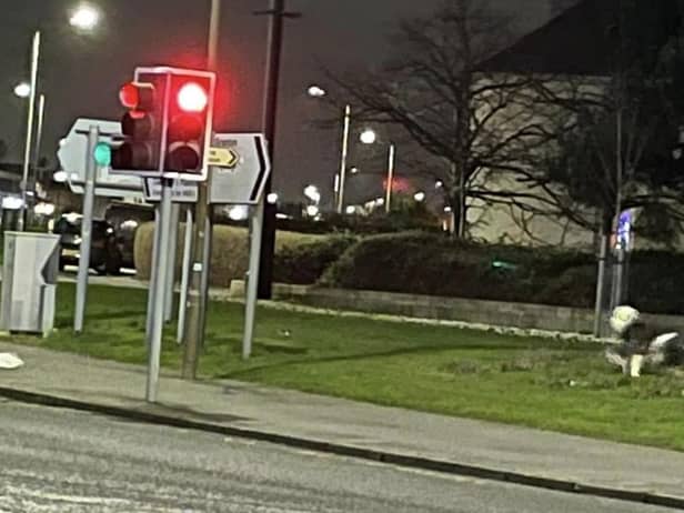 A black-and-white dog was spotted wandering alone on Ferry Road in Edinburgh in the early hours of Friday morning. (Photo credit: Anette Xln)