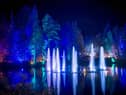 Light shows like The Enchanted Forest may be supported through the new events fund.