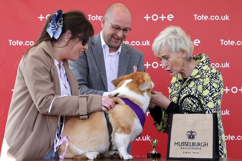 Rodney, winner of the Corgi Derby, is presented the award by Judy Murray at Musselburgh Racecourse.