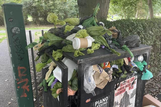 Public Health Scotland has warned of health risks from rotting rubbish -- including food waste and human and animal excrement from nappies and dog poo. Picture: Ilona Amos