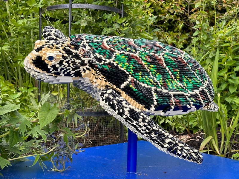 Taking over 160 hours to build, the Green Sea Turtle is comprised of 27,208 bricks. The model weighs 118kg - slightly less than the average weight of a real adult female (130kg)