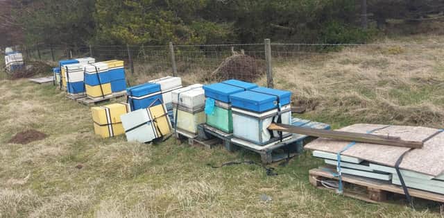 Edinburgh Honey Co's hives knocked over and broken in alleged attack picture: Edinburgh Honey Co