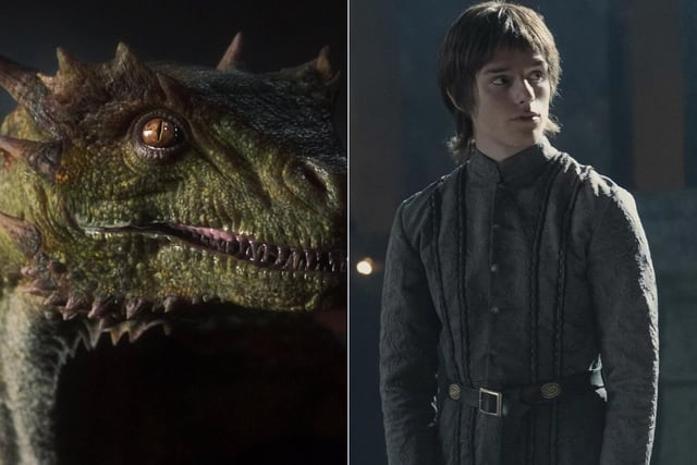Vermax is ridden by Prince Jacaerys Velaryon (Harry Collett), who is the eldest son of Rhaenyra Targaryen (Emma D'Arcy). He is a young dragon who was given to Jacaerys as an egg when the prince was born.