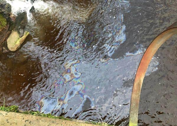 Picture of the River Esk pollution in Musselburgh (Photo: Shona McIntosh).