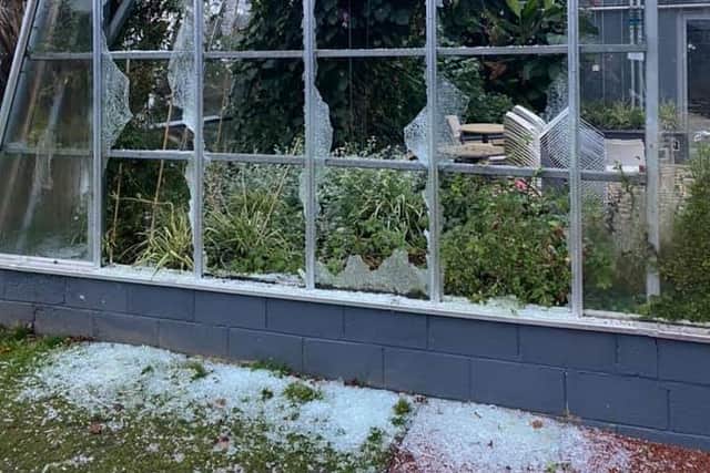 Greenhouse in Saughton Park's Winter Garden has been smashed picture: Thomas Mccourt
