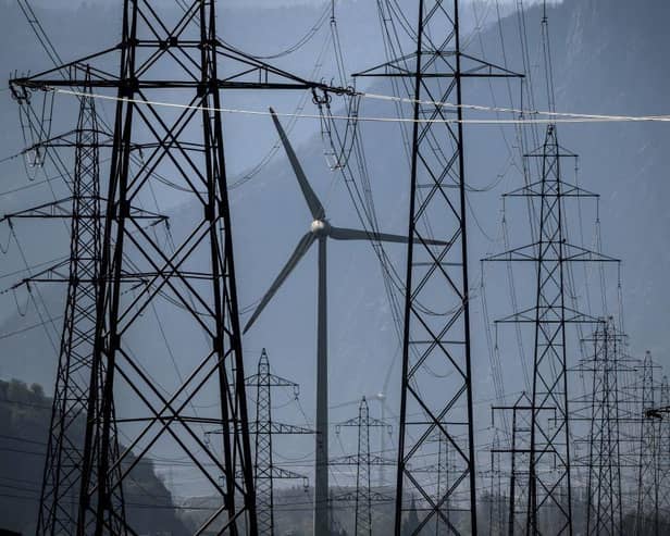 Delta-EE works with businesses to help them navigate the shift to a low-carbon economy (file image). Picture: AFP via Getty Images.