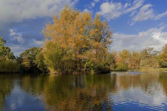 We've seen some brightly coloured changing leaves all over this week - this photo is from @theskysthelimit.photography