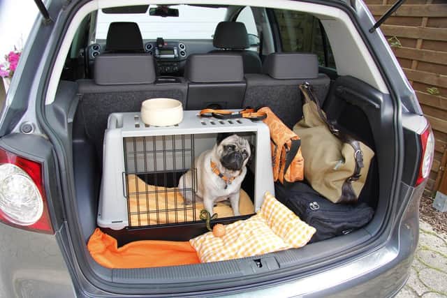Dog cages, guards or restraints that attach to a seatbelt are all options for keeping your pet safe