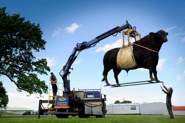 One-tonne wicker Beltie bull arrives in Edinburgh for Royal Highland Showcase
PIC: Colin Hattersley