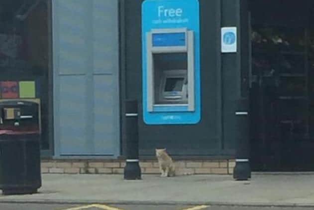 Although not allowed in, Rupert still visited his local Co-Op