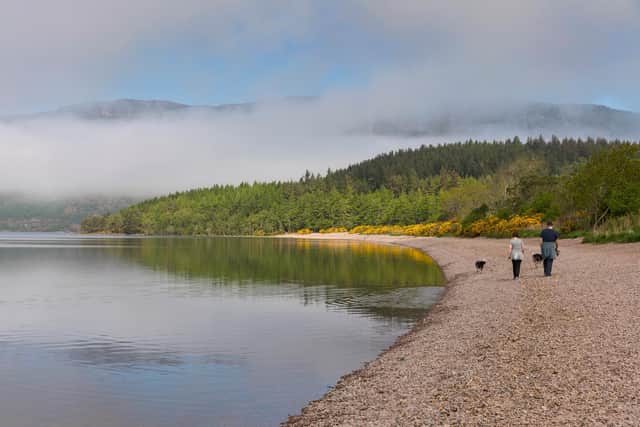 The banks of Loch Ness in the Highlands. Picture: VisitScotland / Kenny Lam