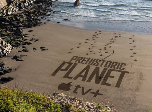 Huge T. rex footprints appeared on a beach in Wales to launch the ground-breaking documentary series narrated by Sir David Attenborough. Photo: SWNS.