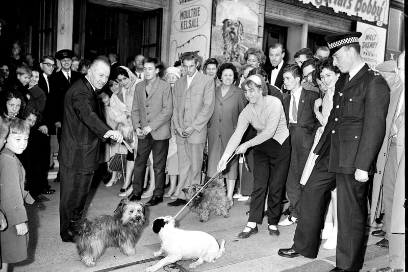 Lothian Road has long been a destination for cinemagoers. In July 1961 the Caley Cinema hosted the premiere of Greyfriars Bobby, and the Skye Terrier who played Edinburgh's famously loyal pooch was guest of honour.