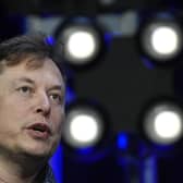 Tesla and SpaceX Chief Executive Officer Elon Musk (AP Photo/Susan Walsh, File)