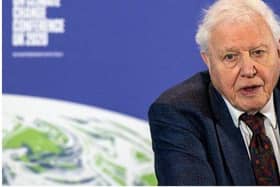 Sir David said he was 'pleased' The Green Planet was being premiered in Glasgow during COP26.