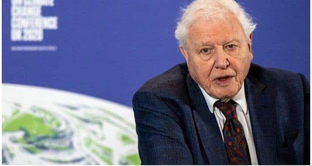 Sir David said he was 'pleased' The Green Planet was being premiered in Glasgow during COP26.