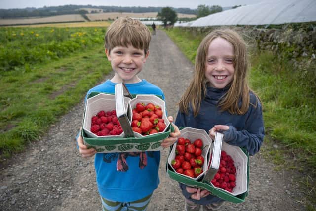 Craigies Farm, located just outside Edinburgh, has released details of its Pick Your Own activities for this summer, including a combo ticket to include play time at their farm adventure park, Little Farmers.