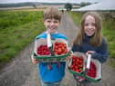 Craigies Farm, located just outside Edinburgh, has released details of its Pick Your Own activities for this summer, including a combo ticket to include play time at their farm adventure park, Little Farmers.
