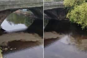 Edinburgh residents spotted raw sewage flowing into the Water of Leith at Coalie Park. The Scottish Environment Protection Agency (SEPA) is investigating. Video by Twitter user @RMJ@Dolto