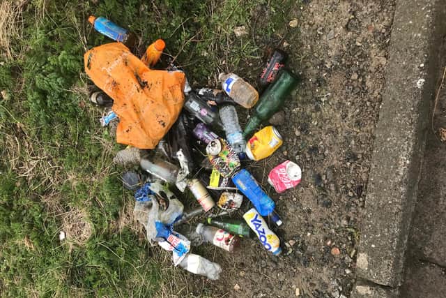 Litter collected by Tom