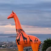 Stand Tall for Giraffes celebrates wild giraffes in Uganda. The orange colour represents beautiful Ugandan sunsets and the patterns on the ossicones and tail are adapted from authentic Ugandan fabrics, reflecting the vibrant colours of the country.