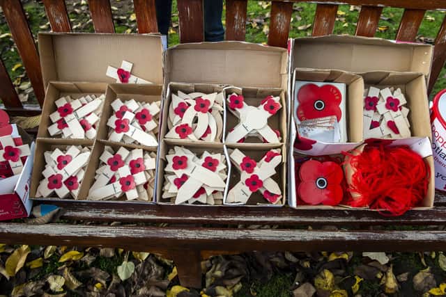 The Scottish Poppy Appeal launched at Edinburgh Garden of Remembrance last week. Susan Dalgety has since lost her first poppy of 2022 - but will happily buy another in gratitude for the sacrifice of others. PIC: Lisa Ferguson/National World.