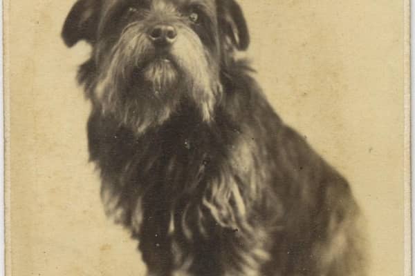 The photo of Greyfriars Bobby. Picture: Friends of Dalry Cemetery