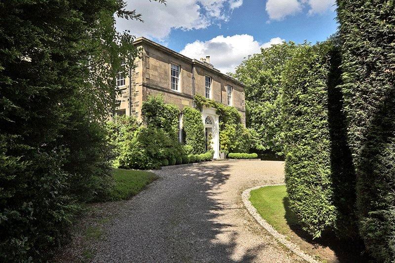 Driveway.