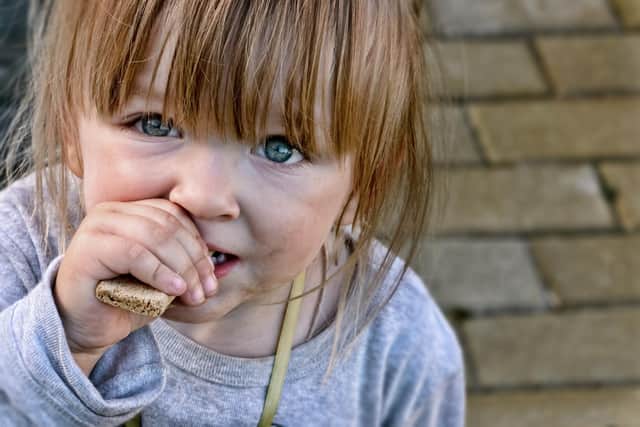 The sobering fact is that many families in Scotland are now struggling to feed their children, writes Hayley Matthews. PIC: Shutterstock