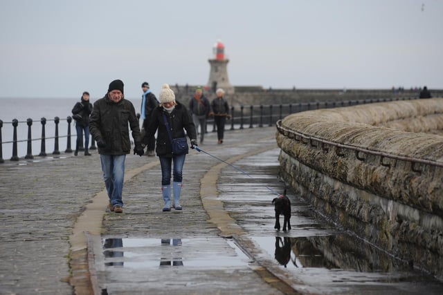 A mild start to the New Year on South Tyneside in 2016 as dog walkers take a stroll on the South Pier.