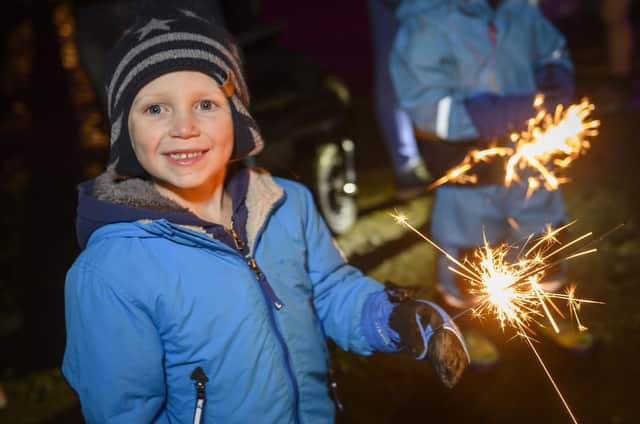 Should the sale of fireworks be restricted by a requirement for a licence?