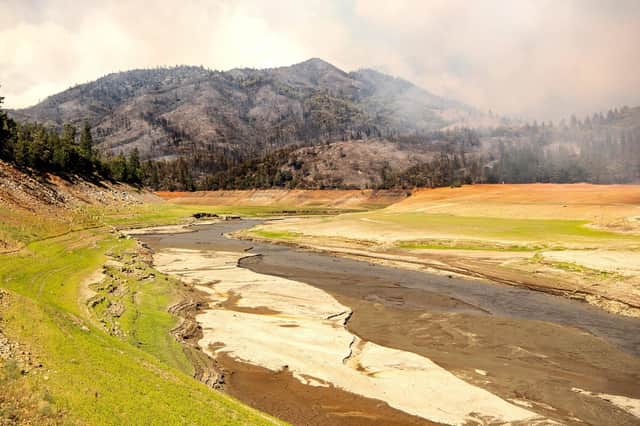 A wildfire burns near the drought-stricken Shasta Lake in Lakehead, California, earlier this month amid a severe heatwave (Picture: Josh Edelson/AFP via Getty Images)