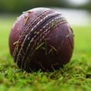 Cricket Scotland's board has resigned