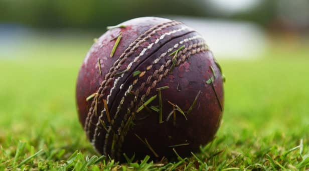 Cricket Scotland's board has resigned