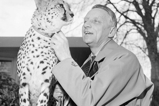 Edinburgh Zoo director Gilbert Fisher with Scrap the cheetah outside Edinburgh Zoo in 1964.
