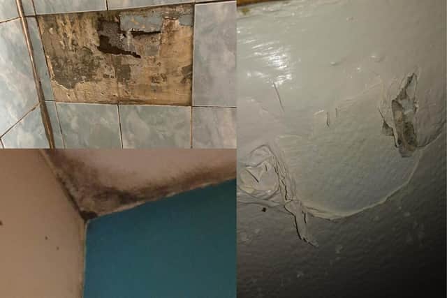 Pictures showing mould and damp problems at properties in Ravenswood Avenue (top left), Calder Grove (bottom left) and Gracemount pictures: supplied