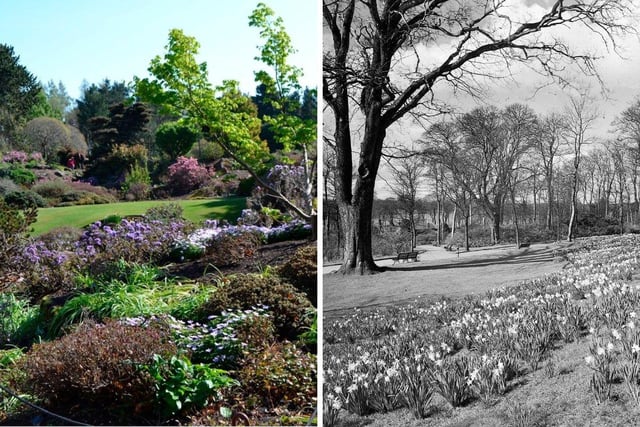 Another local spot that pre-dates the Edinburgh Evening News is the Botanical Gardens. The green space was founded in 1670, but moved to its current site in Inverleith in 1820 - more than 50 years before the paper's first edition went out to readers.