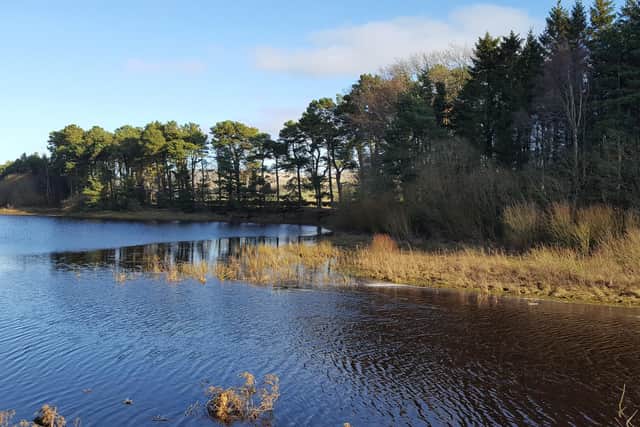 Malleny Angling plan to re-stock Harlaw Reservoir ahead of the season which opens on Thursday, April 1.