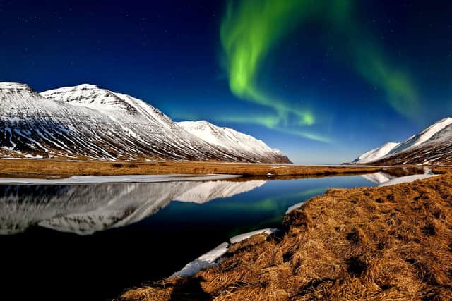 Northern lights in Iceland picture: supplied