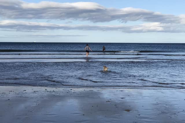 Dunbar's Belhaven beach, in East Lothian, is a magnet for swimmers and surfers and one of Scotland's 87 bathing water sites. Picture: Ilona Amos