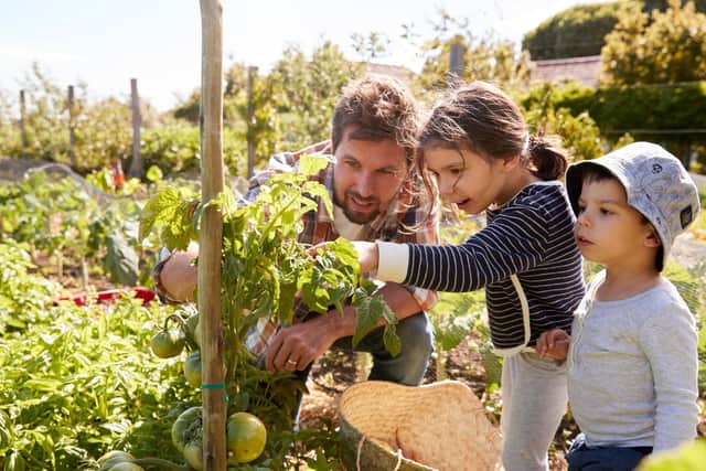 The whole family can get involved with growing on an allotment. Photo: Monkey Business Images / Canva Pro.