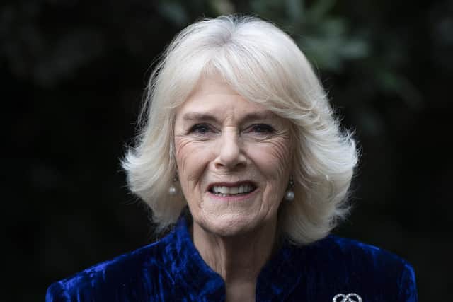 Susan Morrison is looking forward to the reign of Queen Camilla (Picture: Eddie Mulholland/WPA pool/Getty Images)