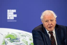 Conservationist David Attenborough has warned of the very real and serious risks posed by climate change (Picture: Chris J Ratcliffe/pool/AFP via Getty Images)